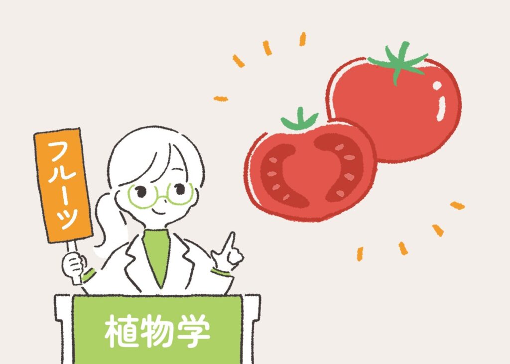植物学の定義ではトマトはフルーツのイラスト