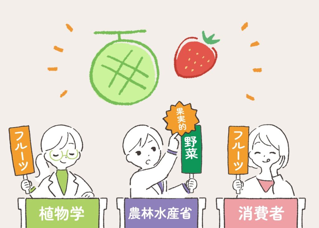 農林水産省のメロンとイチゴの分類は「果実的野菜」イラスト