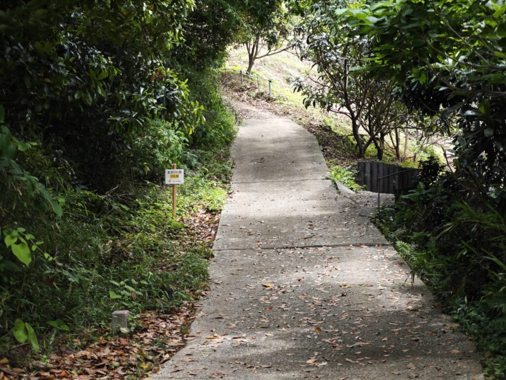 びわ山へ続く道