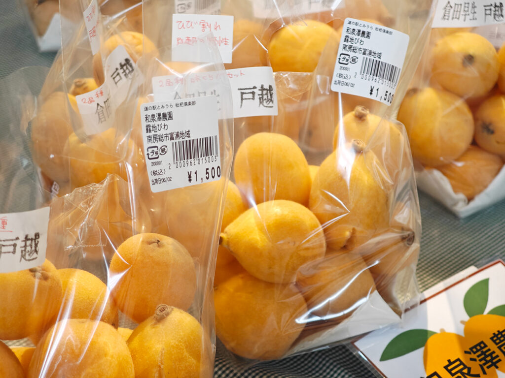 びわの品種「戸越」の売り場の写真