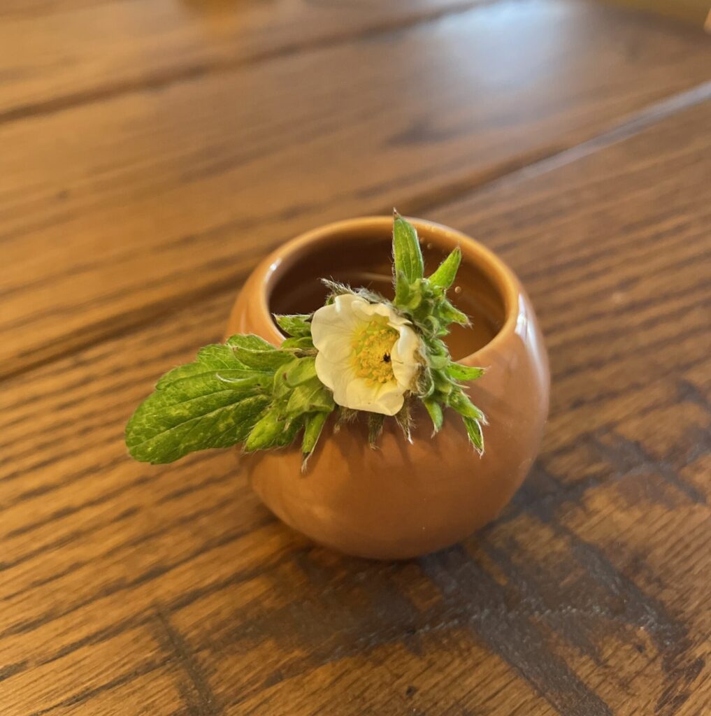 花瓶に入れたとちおとめの花の写真
