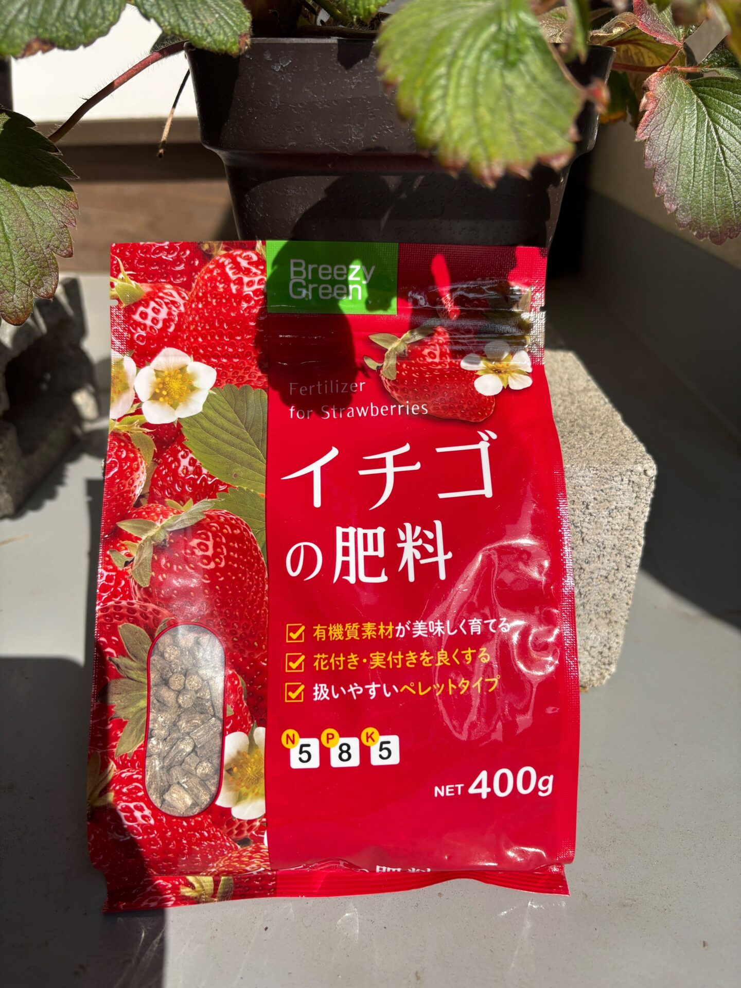 イチゴの肥料400g(Breezy Green)