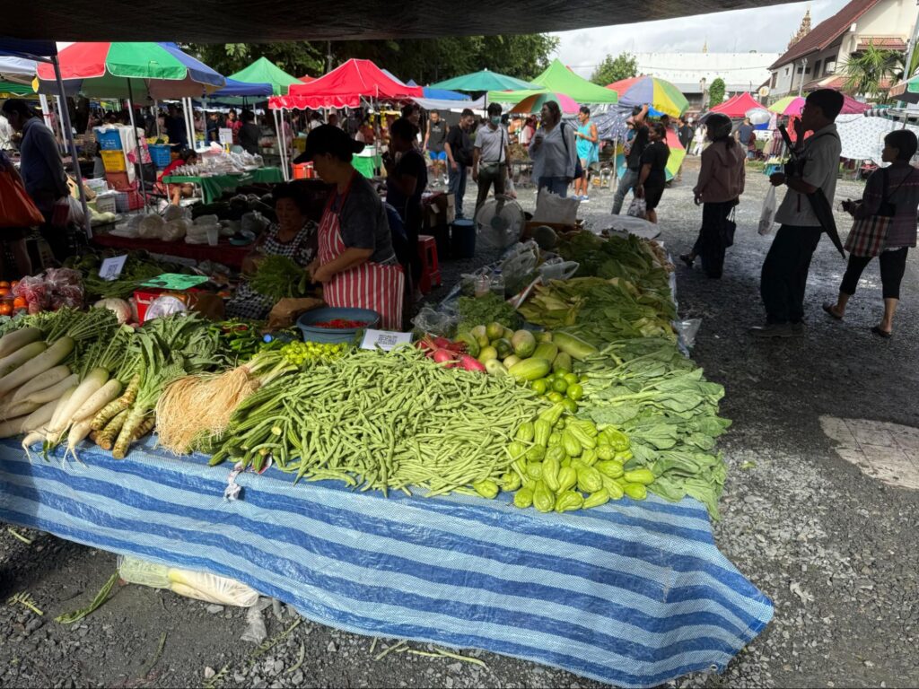 テーブルの上にたくさんの種類の野菜が並んでいる写真（チェンマイ雲南マーケット）