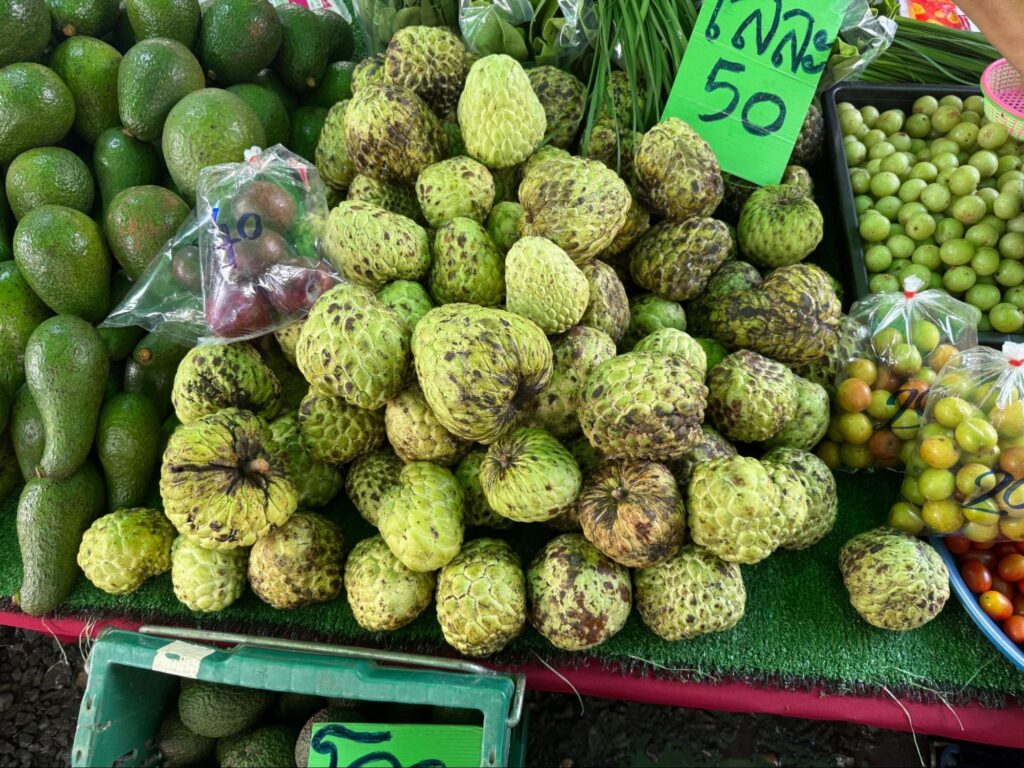 山積みのアテモヤ（チェンマイ雲南マーケット）