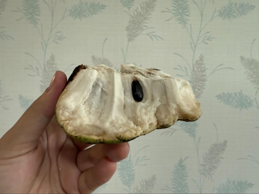 割ったアテモヤを手に持った写真