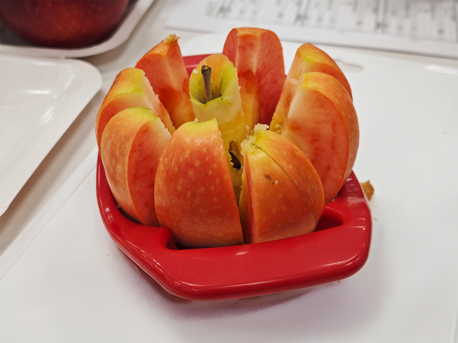 りんごカッターで8等分になったりんご