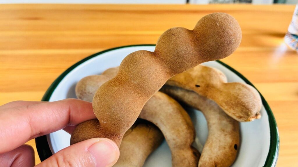 タマリンドを持っている写真