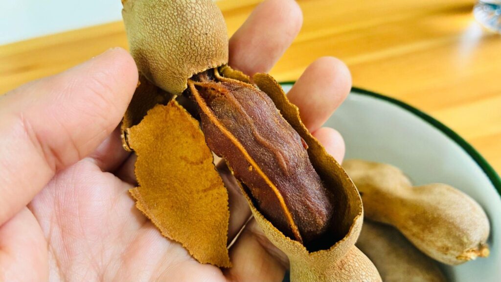 パリパリのタマリンドの殻をむいた様子。ねっとりした果肉が詰まっている。
