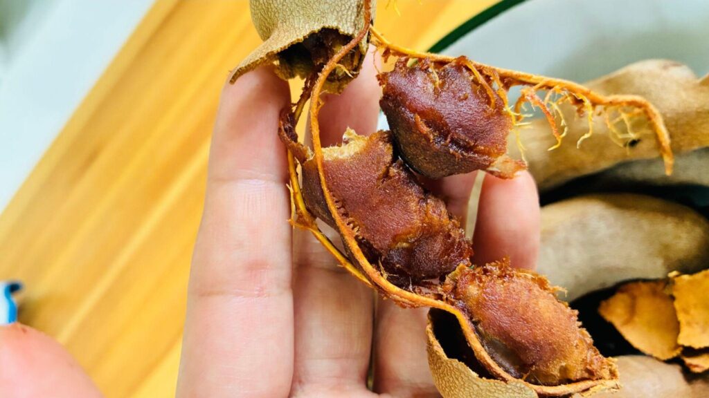 タマリンドの果肉のアップ