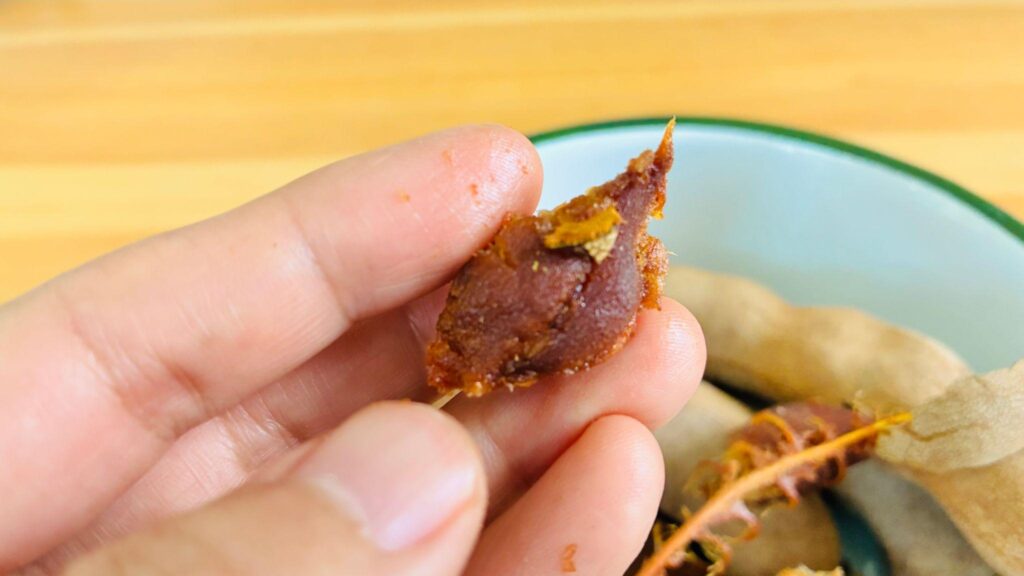 しっとりしたタマリンドの果肉に指で触れる様子