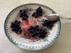 スプーン１杯分くらいの分量で５等分したブルーベリー